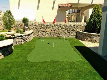 Artificial Grass Photos: Fake Pet Turf Banning California Landscape